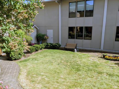 Courtyard corner with bench